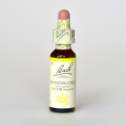 �ڥ����ȥ�å��ʡۥϥˡ����å���