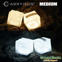 ���ɥݡ��� ����꡼���������� ��������饤�� ������֥饤�� MEDIUM ����꡼������ LED ���� �ޤ���� �����顼 ��󥿥� �ߥǥ����� ����������