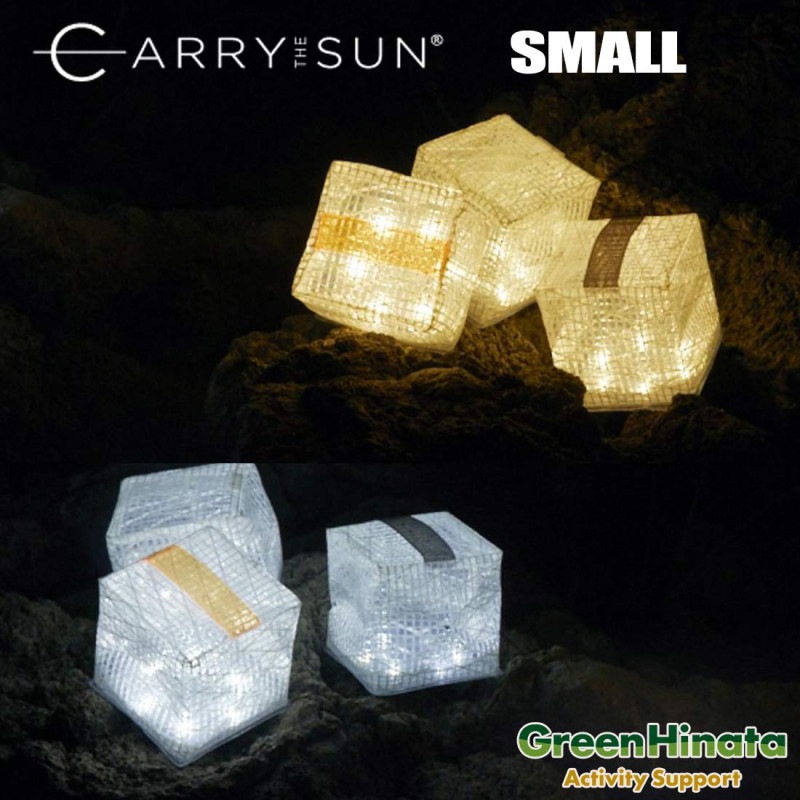 ɥݡ ꡼ 饤 ֥饤 SMALL ꡼ LED  ޤ 顼 󥿥 ⡼ 