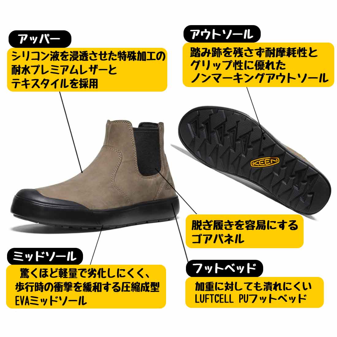 ������ ����� �����륷�� ���塼�� �� �֡���   ����������