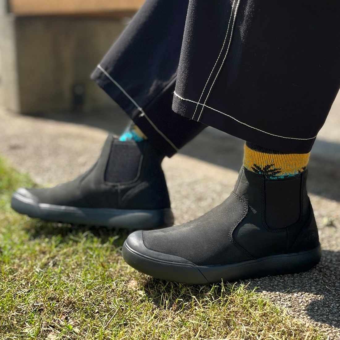 ������ ����� �����륷�� ���塼�� �� �֡���   ����������