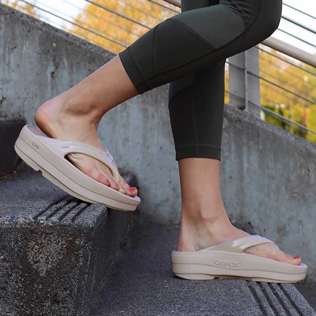 �����ե��� �����ᥬ �ꥫ�Х꡼������� �ꥫ�Х꡼�������  ����������