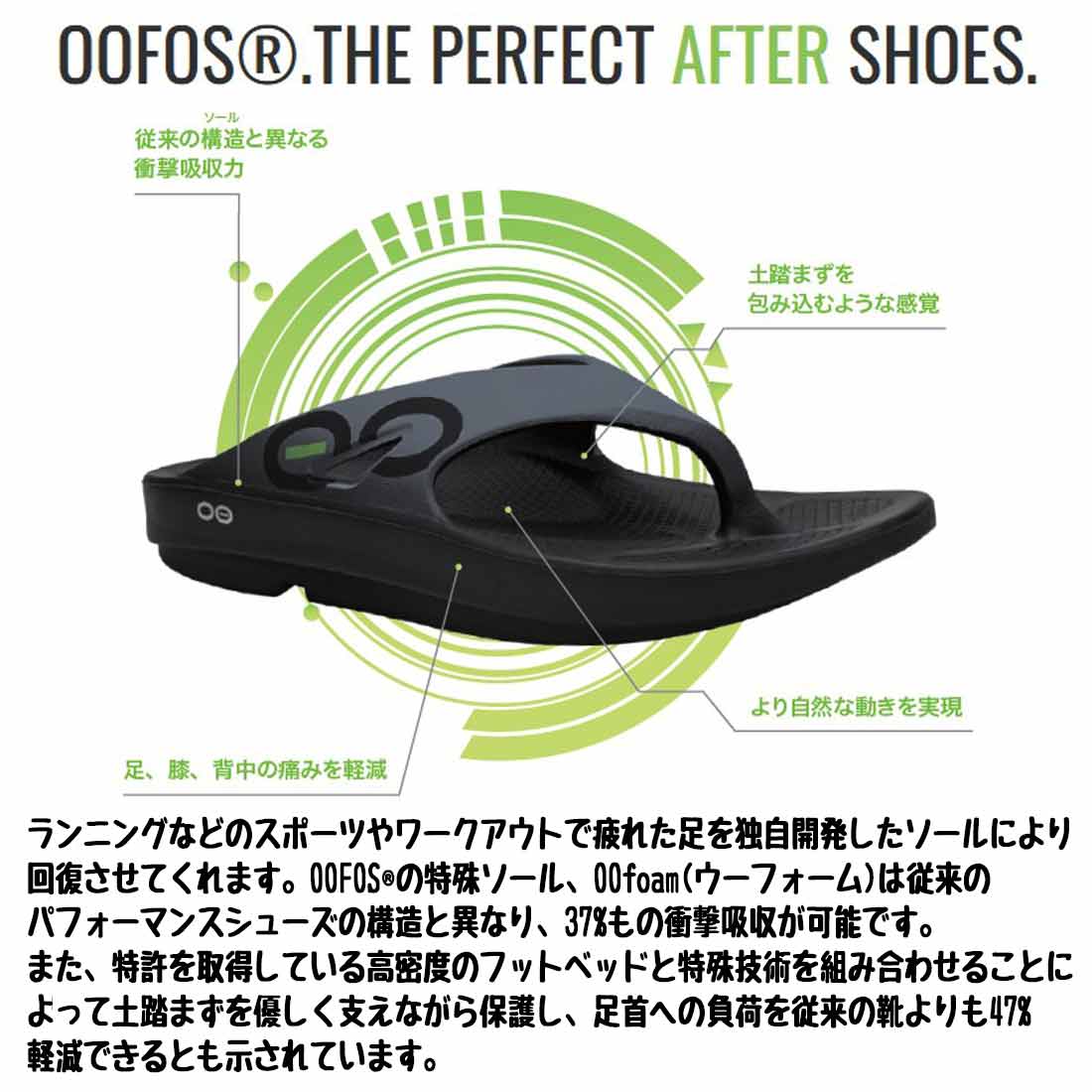 �����ե��� �����ᥬ �ꥫ�Х꡼������� �ꥫ�Х꡼�������  ����������