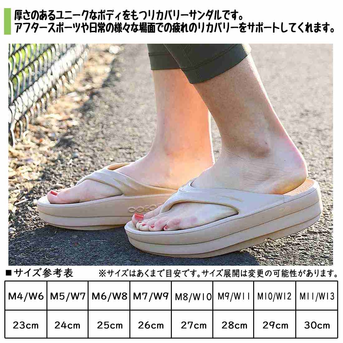 �����ե��� �����ᥬ �ꥫ�Х꡼������� �ꥫ�Х꡼�������  ����������