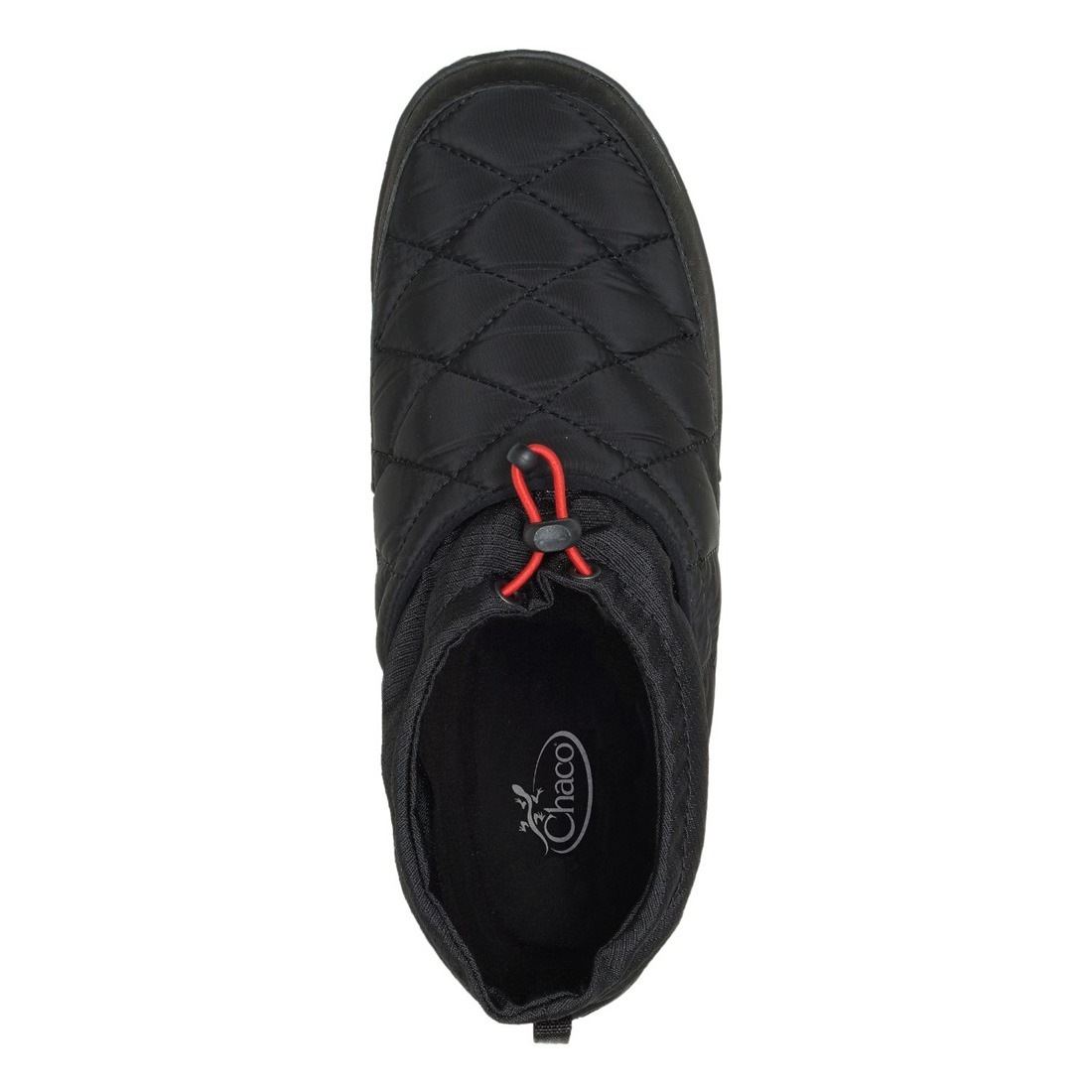 㥳 Ms ֥ ѥ   󥿡 塼 