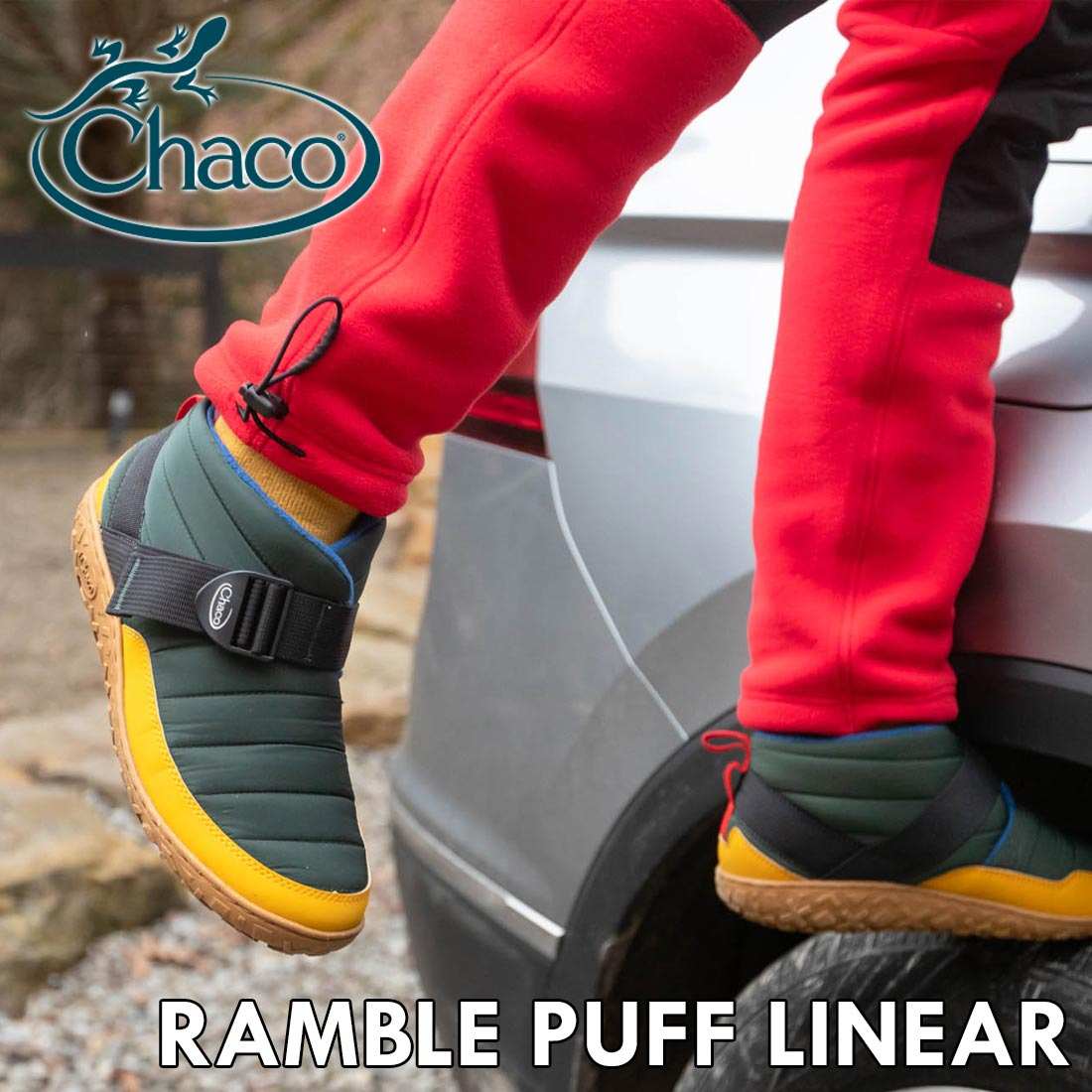 ���㥳 Ms ���֥� �ѥ� ��˥� ��� �����󥿡� ���塼�� ����������