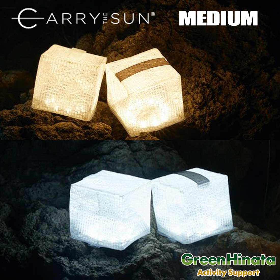 ���ɥݡ��� ����꡼���������� ��������饤�� ������֥饤�� MEDIUM ����꡼������ LED ���� �ޤ���� �����顼 ��󥿥� �ߥǥ����� ����������