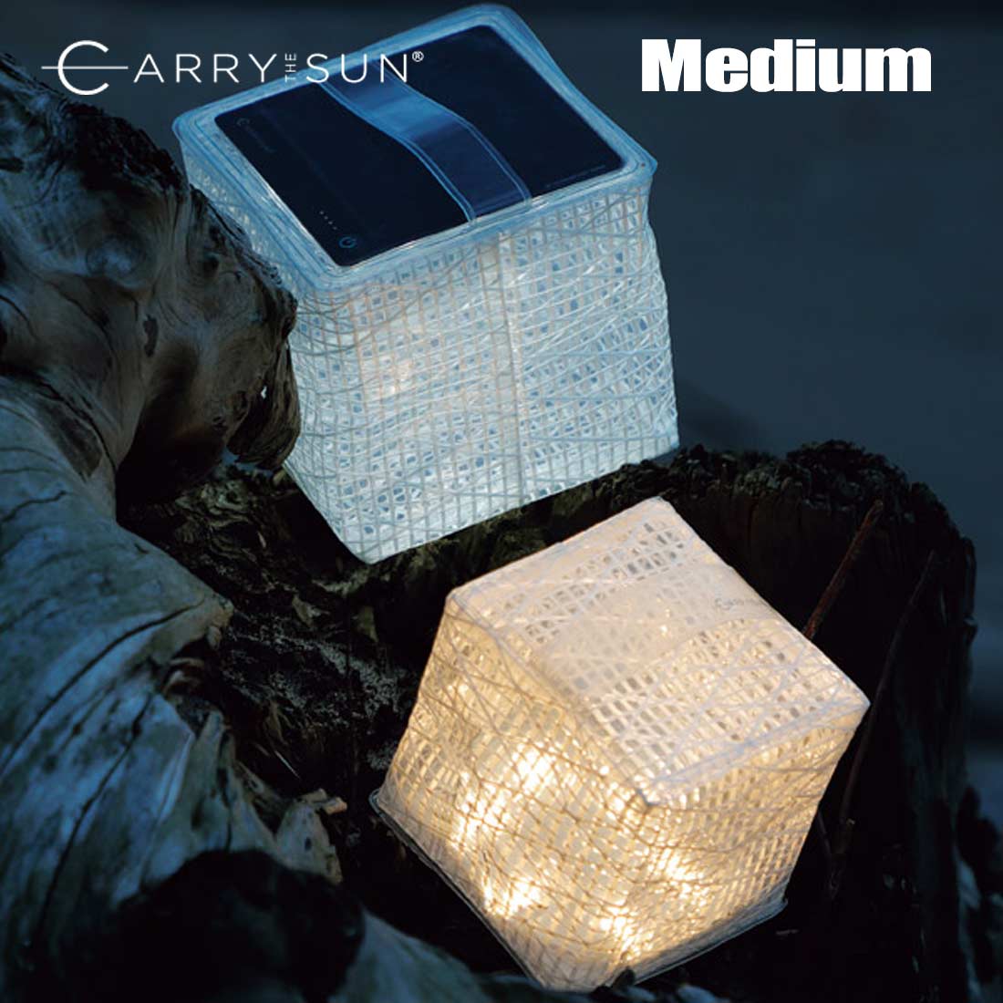 ���ɥݡ��� ����꡼���������� ��������饤�� ������֥饤�� MEDIUM ����꡼������ LED ���� �ޤ���� �����顼 ��󥿥� �ߥǥ����� ����������