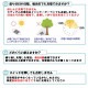 ɥݡ ꡼ 쥤ܡ MEDIUM ꡼ LED  ޤ 顼 󥿥 ߥǥ  顼饤   