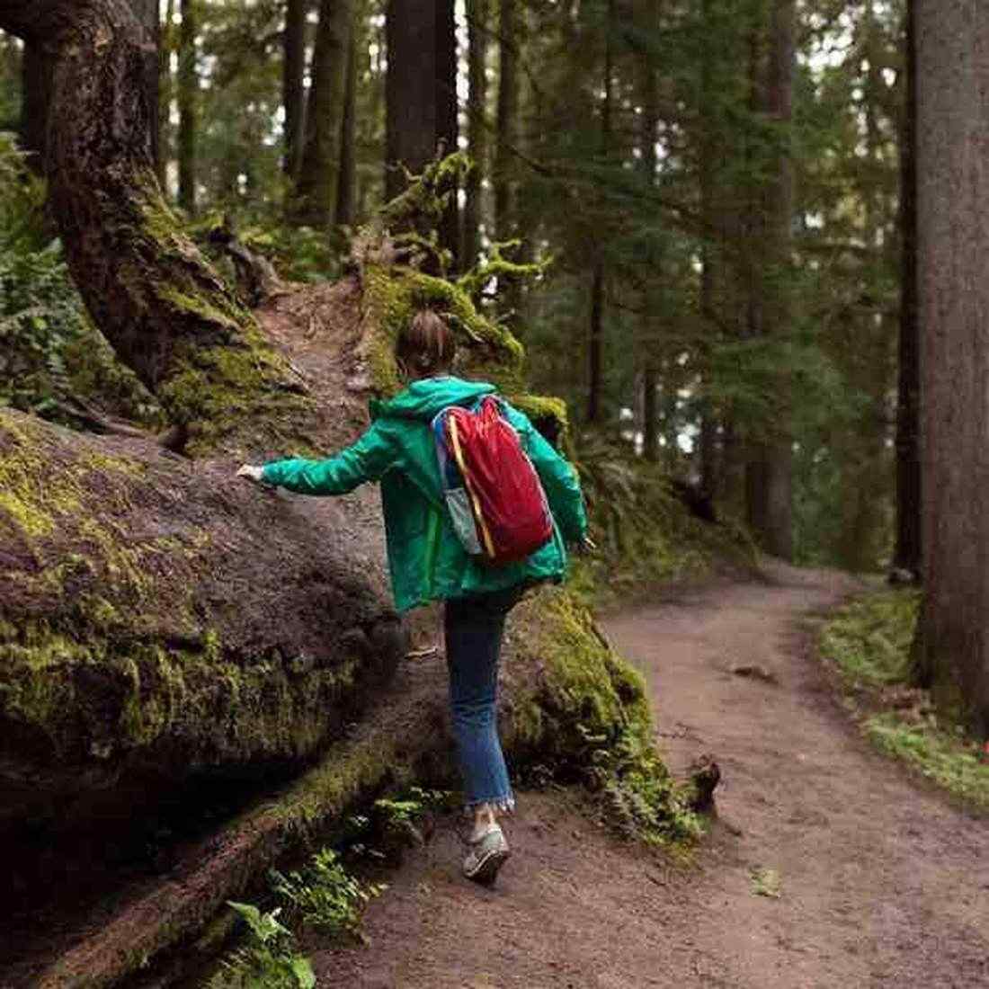 ���ȥѥ��� �Х��å� 16L �Хå��ѥå� ���å����å�   ����������