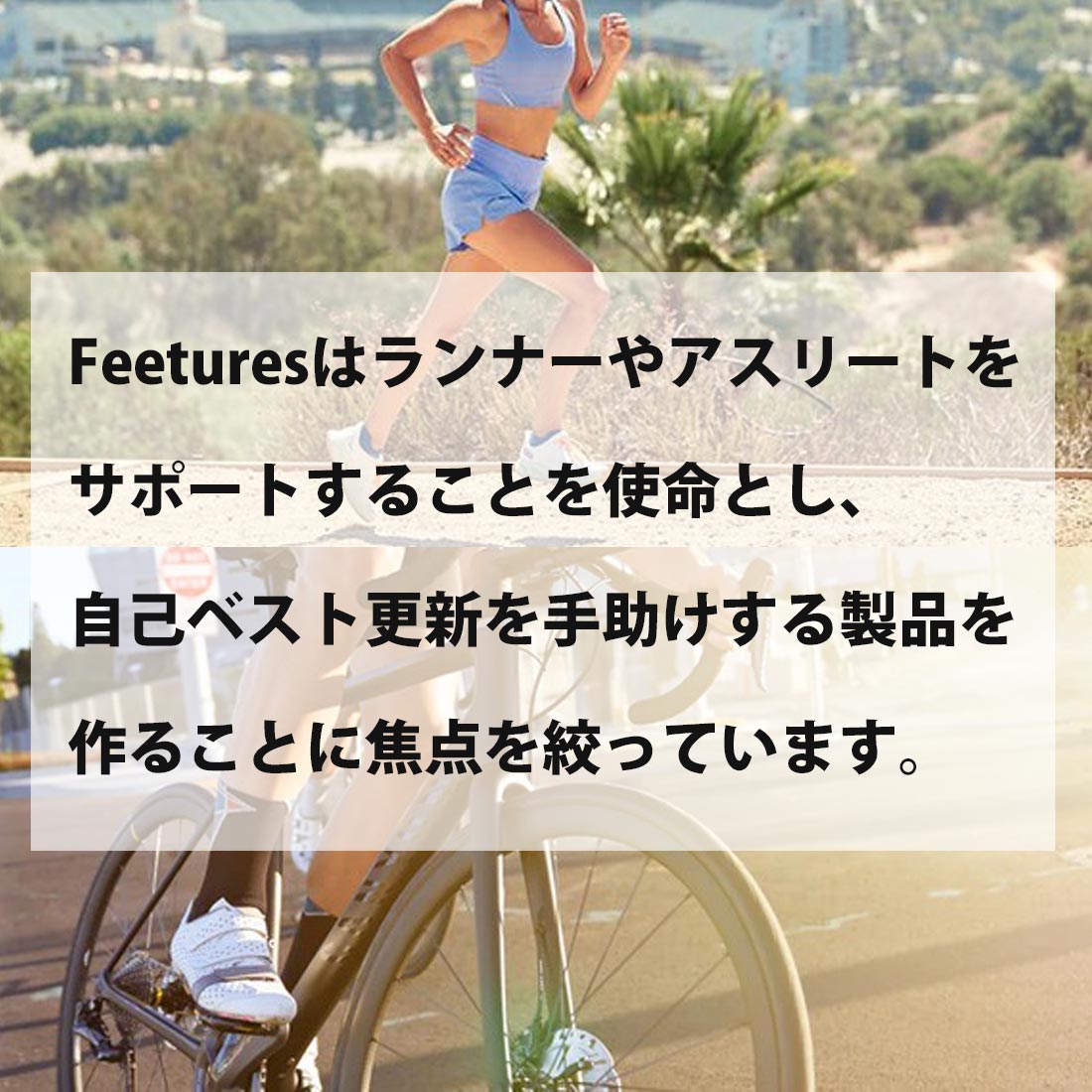 �ե������㡼�� ����10 �Ρ����硼���� �ե塼���㡼�� ���å��� ���� ��˥��å���   ����������