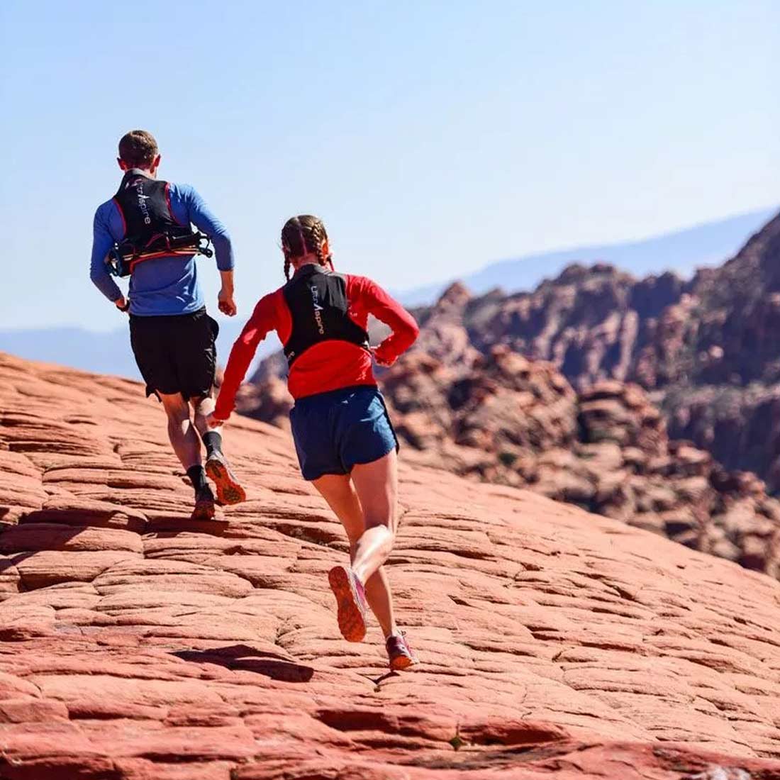 ����ȥ饹�ѥ��� �ӥå� �֥��� �ȥ�����å�   ����������