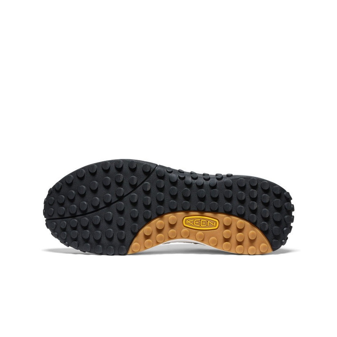 ������ �������� �����ƥ������å��� ��� ������� ���   ����������