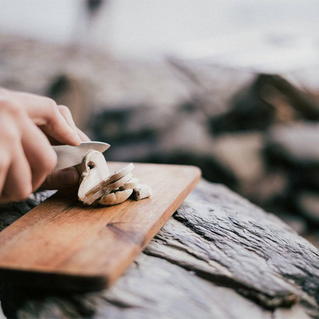 ����ե���ɥ��ꥺ�꡼ ���å����å� Ĵ����񥻥å�  ����������