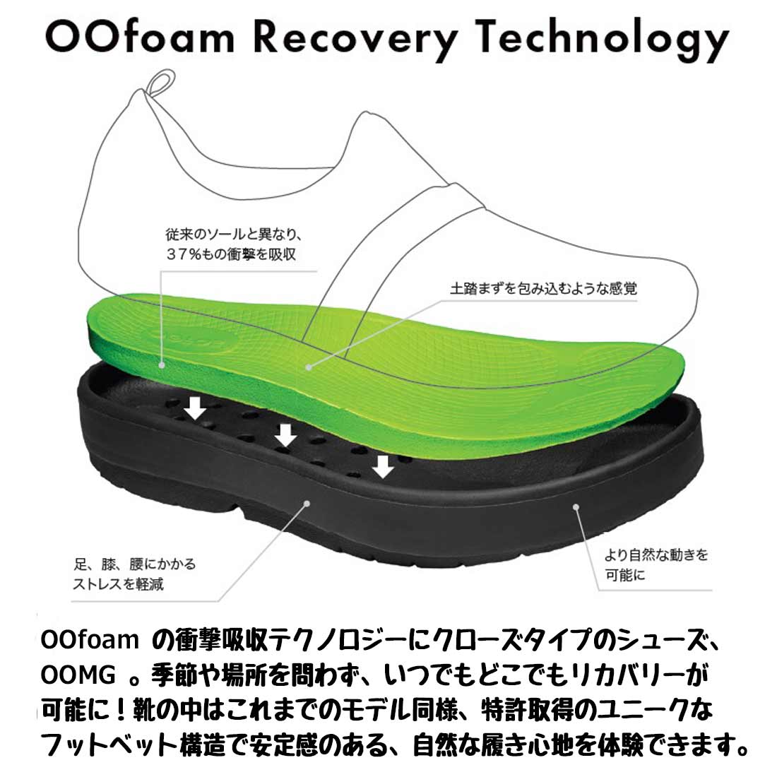 �����ե��� �������ॸ���ե����С� OOMG FiberH �ϥ����å� ������� H/W_Whsole ���塼�� ��ǥ����� �ꥫ�Х꡼���塼��  ����������