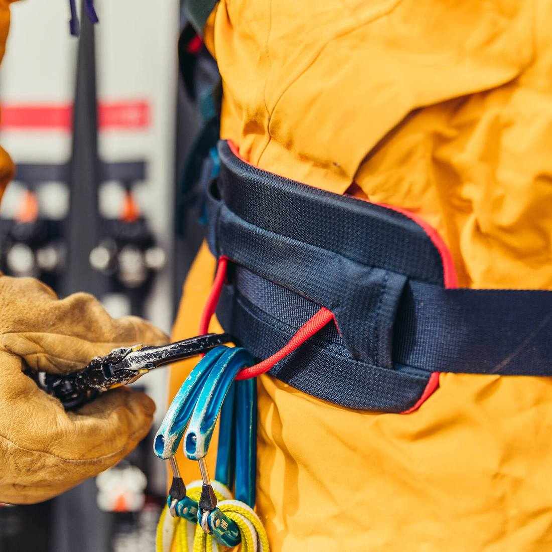 ���쥴�꡼ ��������FT 24 ���å�  ����������