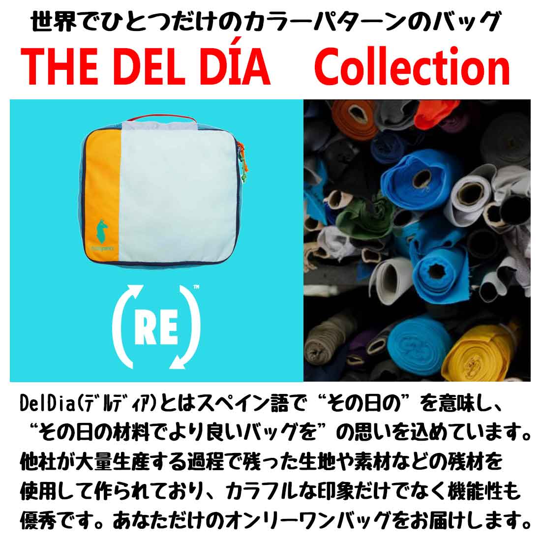 ���ȥѥ��� ���� 10�� �ȥ�٥륭�塼�� �ݡ��� ��ʪ����   ����������