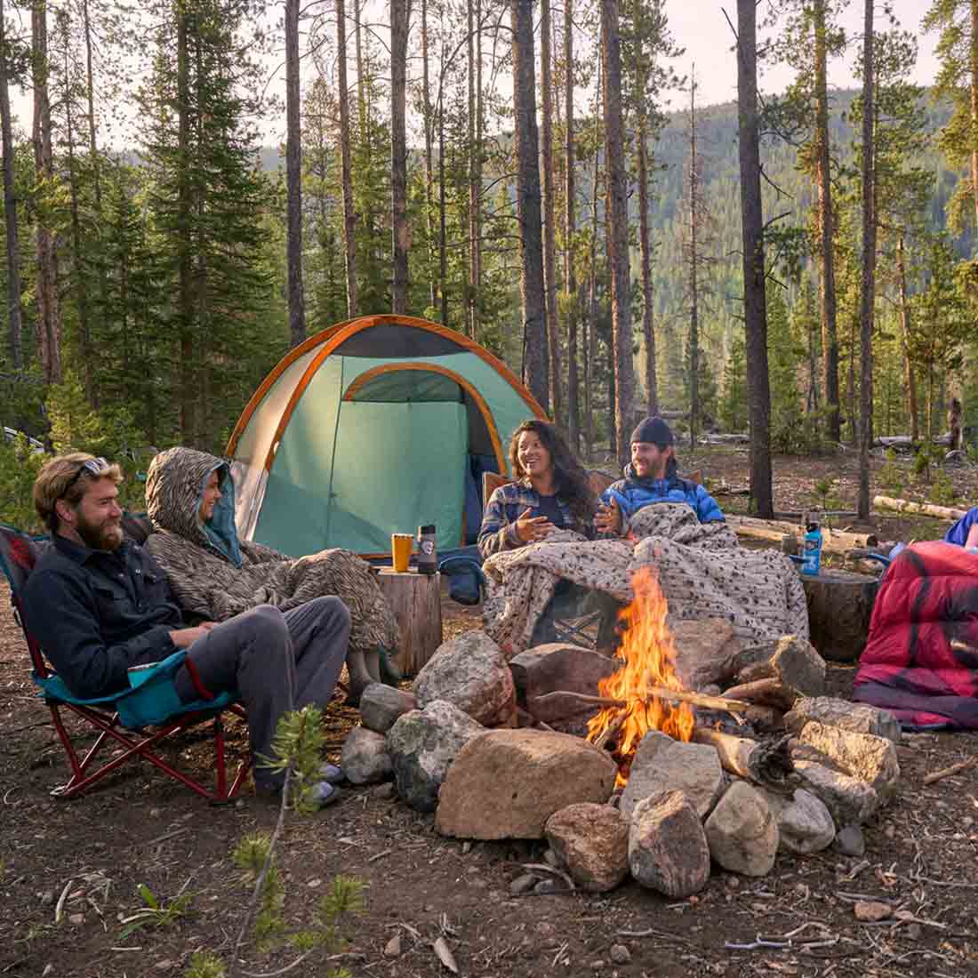 ����ƥ� �ӥå��� �֥�󥱥å� ������   ����������