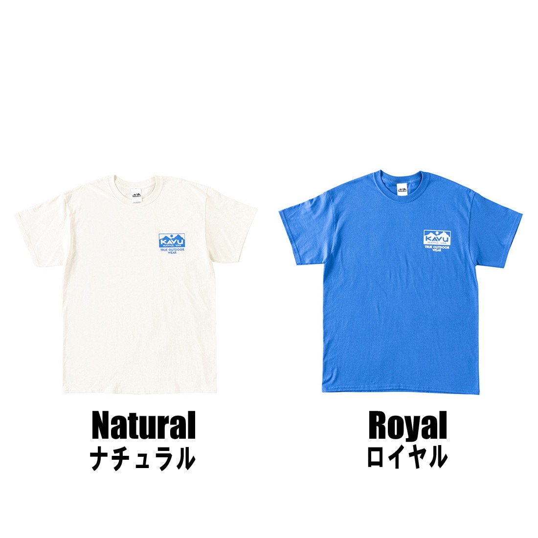 ֡ ȥ롼 T 21 ƥ T  Һ߸