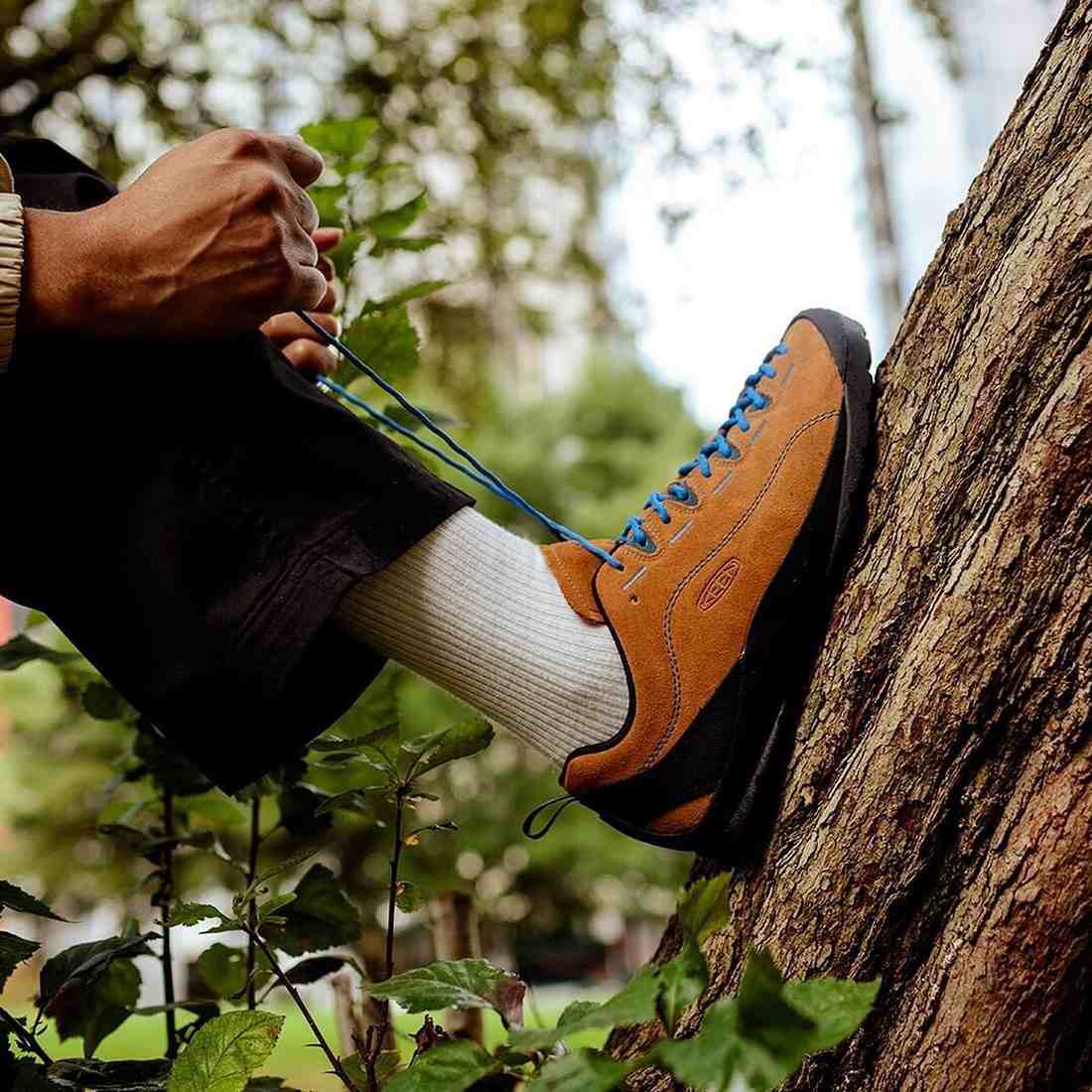 ������ ���㥹�ѡ� ���ˡ����� ��� ���塼�� ��   ����������