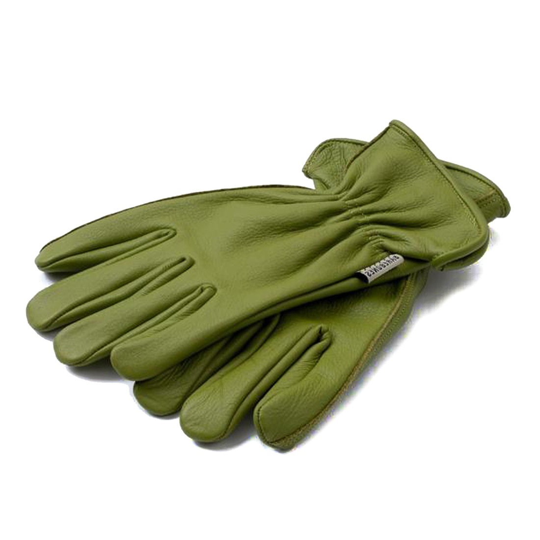 �٥��ܡ��� ��ӥ� ���饷�å� ����������� ����   ����������