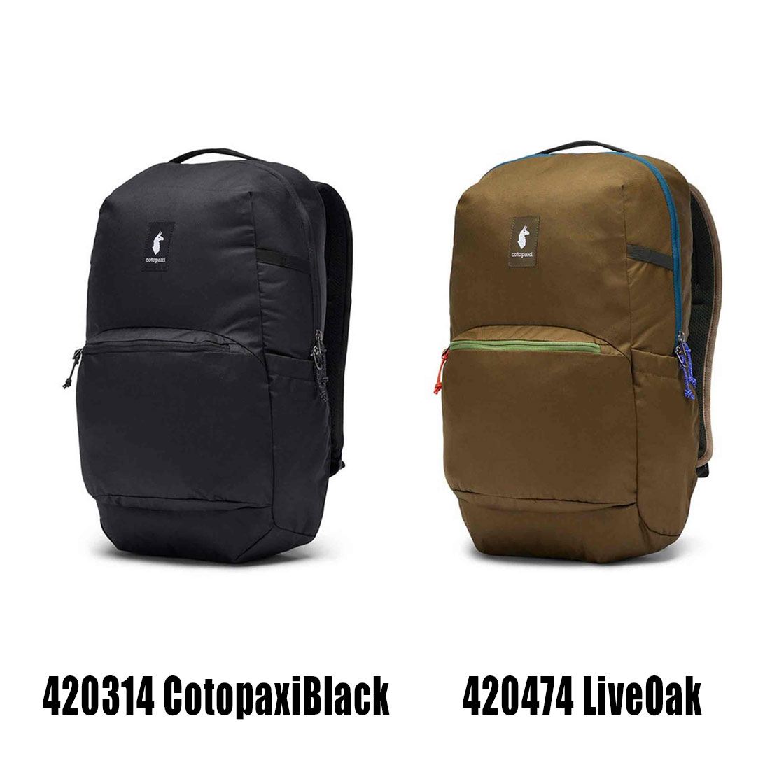 ���ȥѥ��� ���������� 26�� ���å����å�   ����������