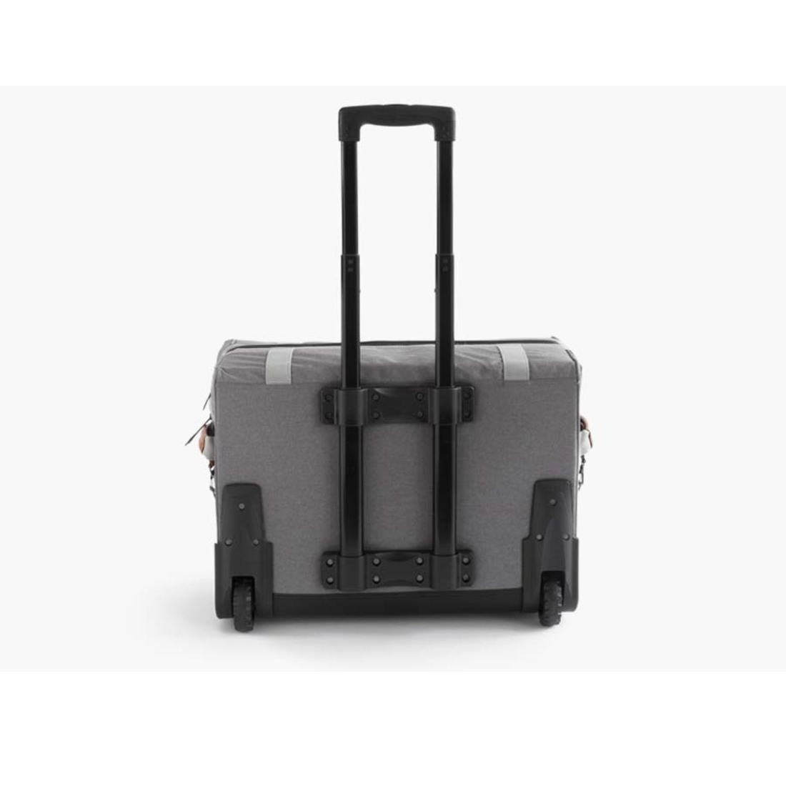 �٥��ܡ��� ��ӥ� ���եȥ����顼 �ݡ����� ����Хå�  ����������