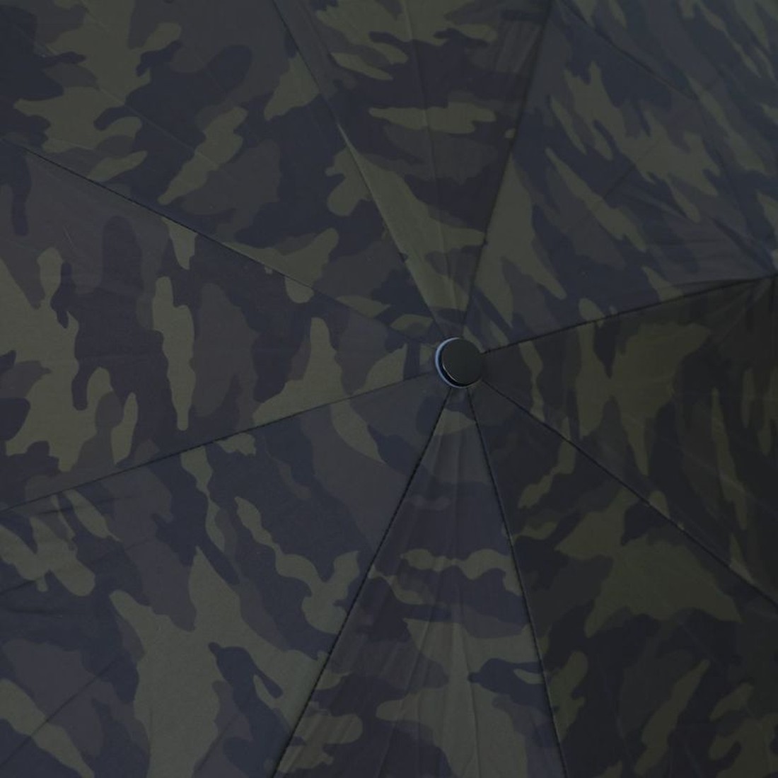 ��Υå� �ǥ��֥�饤�� 60 �ޥ˥奢�� ����֥�� ��  ������ A2743SR