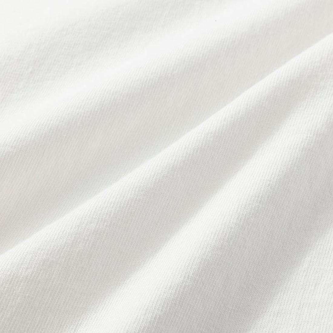 ���֡� �ݥ��åȣԣ�� �ƥ�������� ����T   ����������