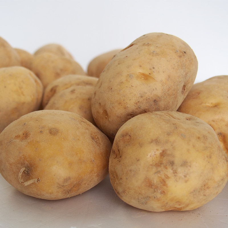 じゃがいも 約500g 1/13（火）～1/17（土）までのお届け | 野菜,根