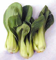 ���󥲥󥵥����󣲣����硡��1/20�ʲСˡ�1/24���ڡˤޤǤΤ��Ϥ�