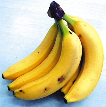 Хʥʡޡ6/24ʲСˡ6/28ڡˤޤǤΤϤ