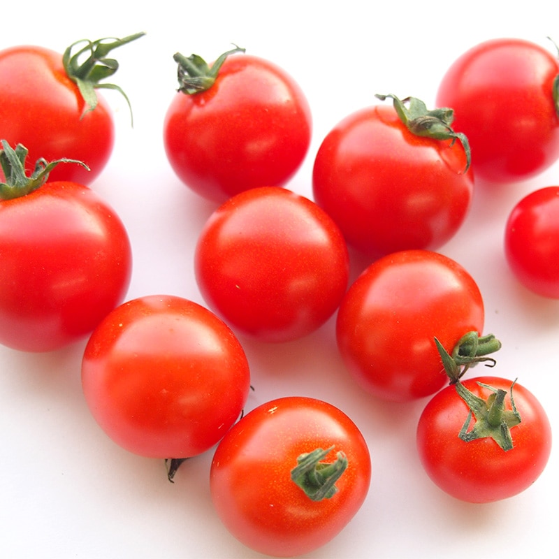 �ߥ˥ȥޥȡ��󣱣����硡��12/16�ʲСˡ�12/20���ڡˤޤǤΤ��Ϥ�