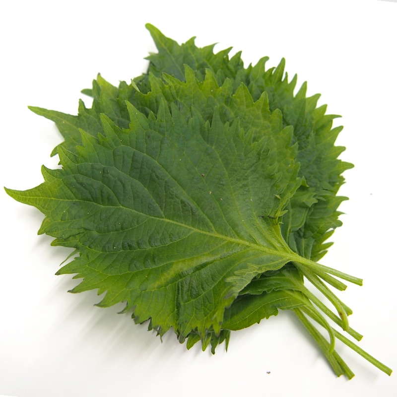 Ĥաˡ11/18ʲСˡ11/22ڡˤޤǤΤϤ