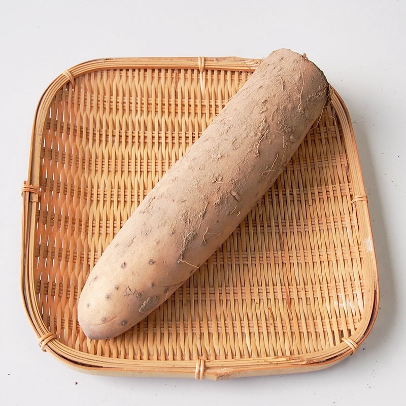 Ĺ���󣵣����硡��12/23�ʲСˡ�12/27���ڡˤޤǤΤ��Ϥ�