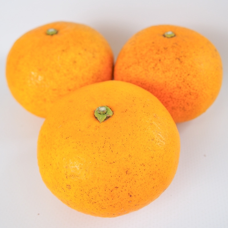 �Ųơ��󣱣�硡��4/21�ʲСˡ�4/25���ڡˤޤǤΤ��Ϥ�