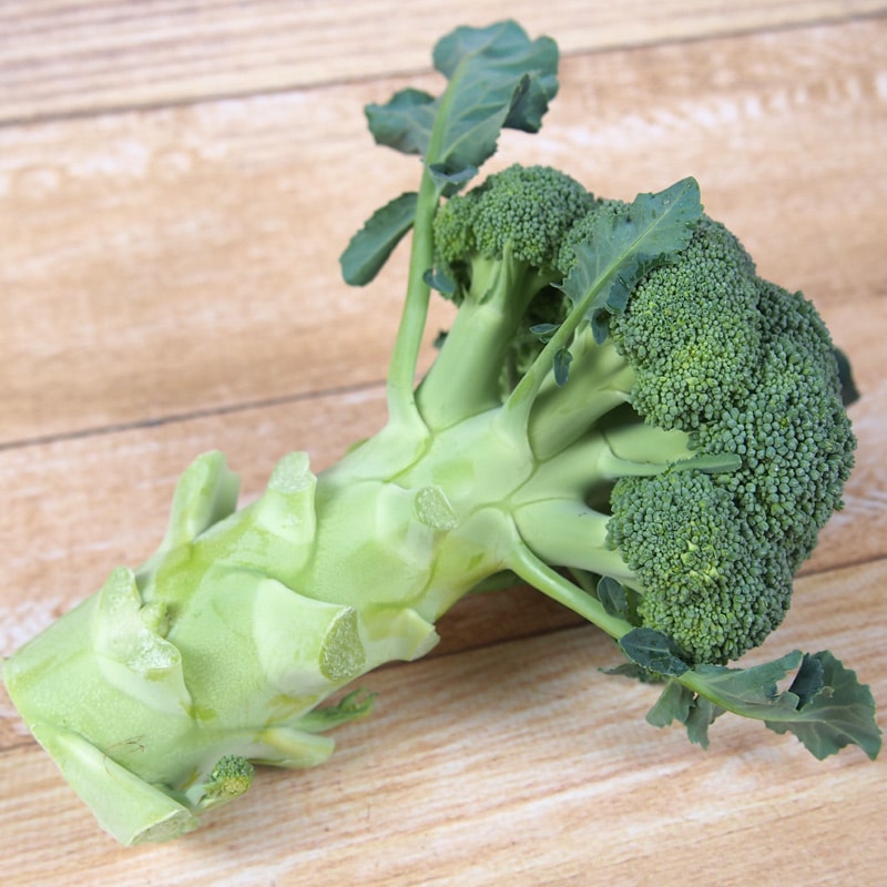 ֥å꡼11/18ʲСˡ11/22ڡˤޤǤΤϤ