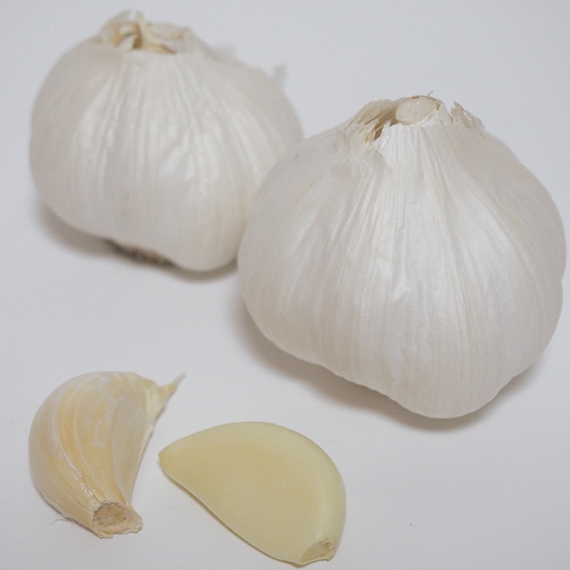 ˤˤ󣵣硡11/18ʲСˡ11/22ڡˤޤǤΤϤ