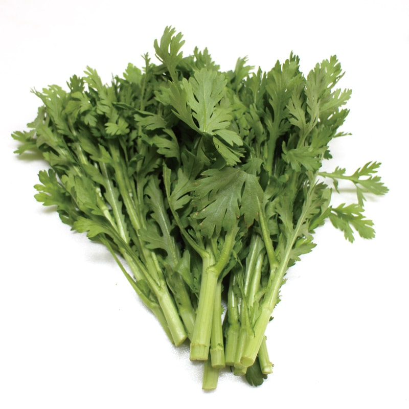 �յơ��󣱣����硡��12/23�ʲСˡ�12/27���ڡˤޤǤΤ��Ϥ�