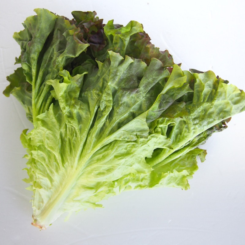 �꡼�ե쥿�������ޡ���12/23�ʲСˡ�12/27���ڡˤޤǤΤ��Ϥ�