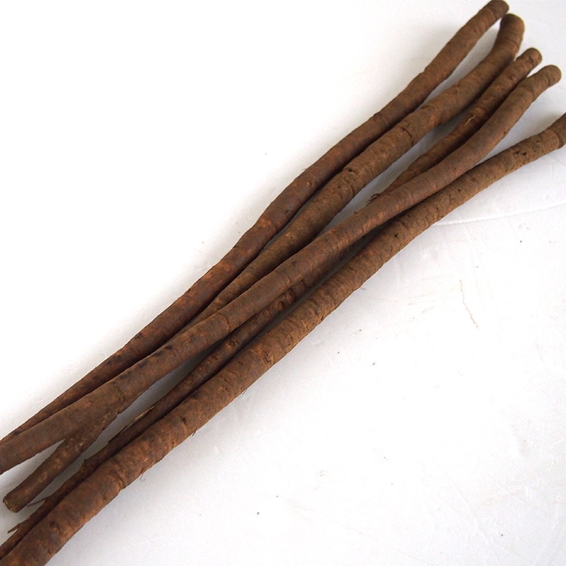 ���ܤ����󣲣����硡��2/24�ʲСˡ�2/28���ڡˤޤǤΤ��Ϥ�