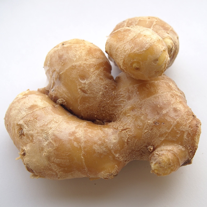 礦󣱣硡11/18ʲСˡ11/22ڡˤޤǤΤϤ