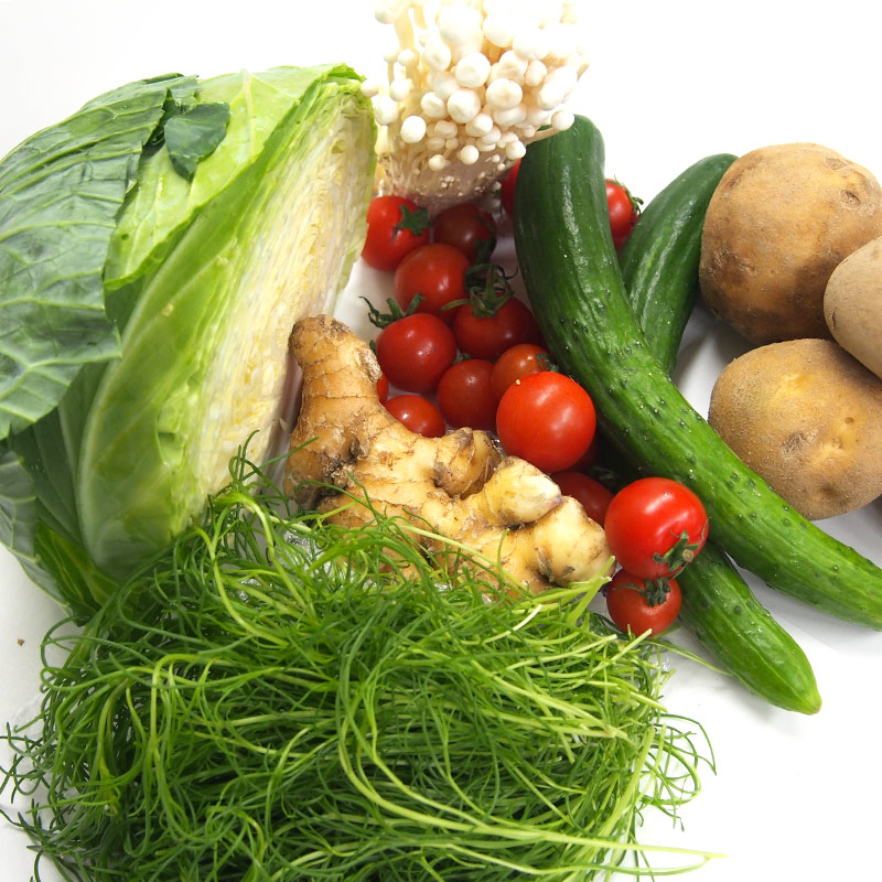 ��ڥ��åȡ���12/9�ʲСˡ�12/13���ڡˤޤǤΤ��Ϥ�