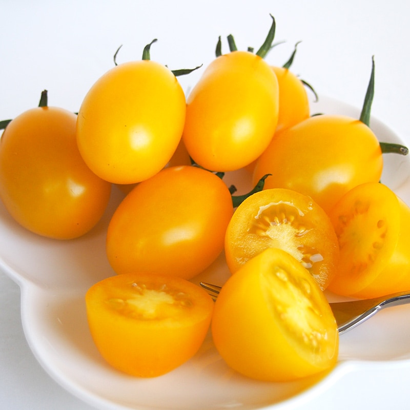 ���������ߥ˥ȥޥȡ��󣲣����硡��4/21�ʲСˡ�4/25���ڡˤޤǤΤ��Ϥ�