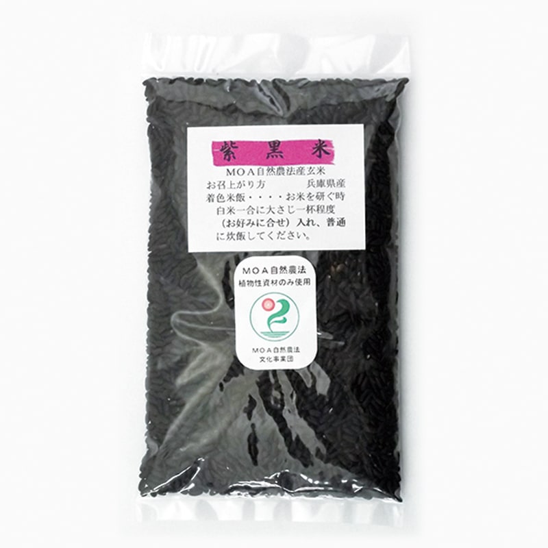 ����ơʤ������ޤ��ˡ��󣲣����硡��3/17�ʲСˡ�3/21���ڡˤޤǤΤ��Ϥ�