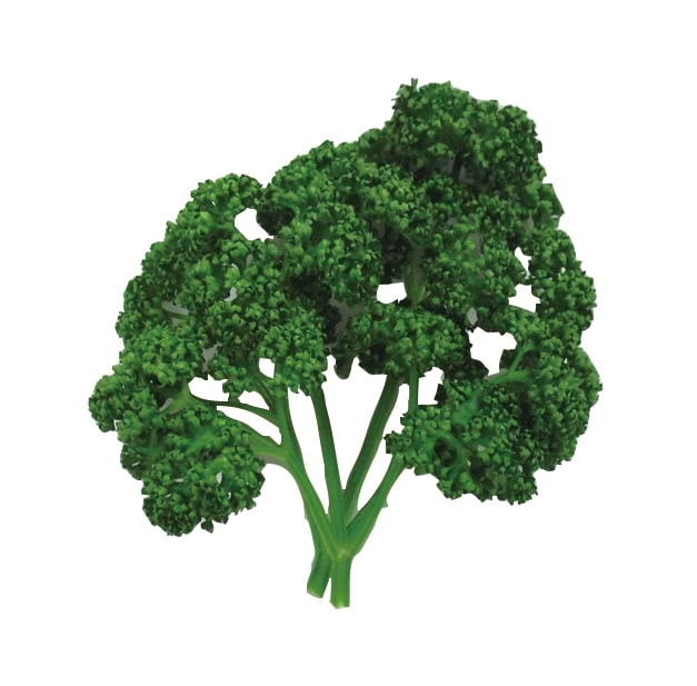 �ѥ��ꡡ���ޡ��󣳣���ˡ���3/17�ʲСˡ�3/21���ڡˤޤǤΤ��Ϥ�