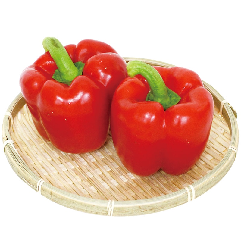 �ѥץꥫ���������̡��󣵣�����ˡ���6/23�ʲСˡ�6/27���ڡˤޤǤΤ��Ϥ�
