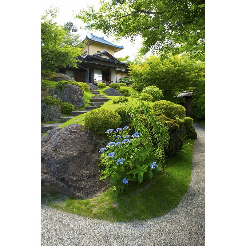 �ڼ������������ۥ����������ڥ��ȥ꡼��Ȣ�����Ѵۡ��гڱ�Τ������������������ߢ�