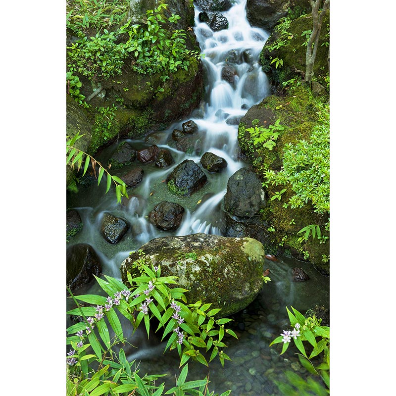 �ڼ������������ۥ����������ڥ��ȥ꡼��Ȣ�����Ѵۡ��������ή�졡���������ߢ�