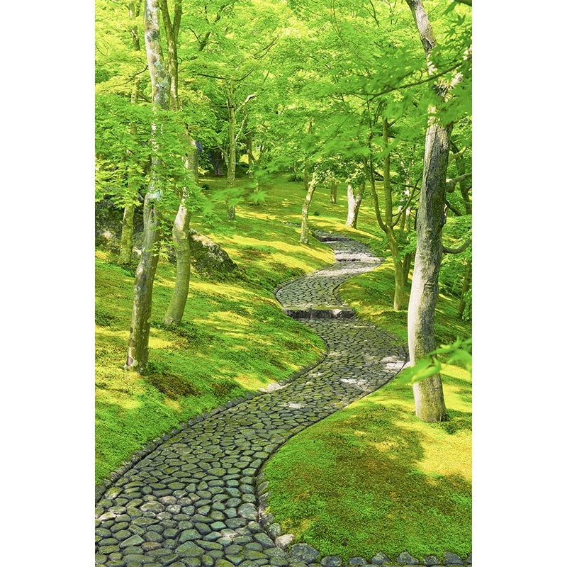 ڼۥڥȥ꡼ȢѴۡƤߢ